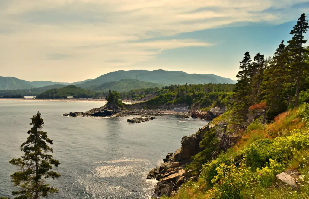Rocky Canadian coastline with forested hills, a destination for visitors to Canada