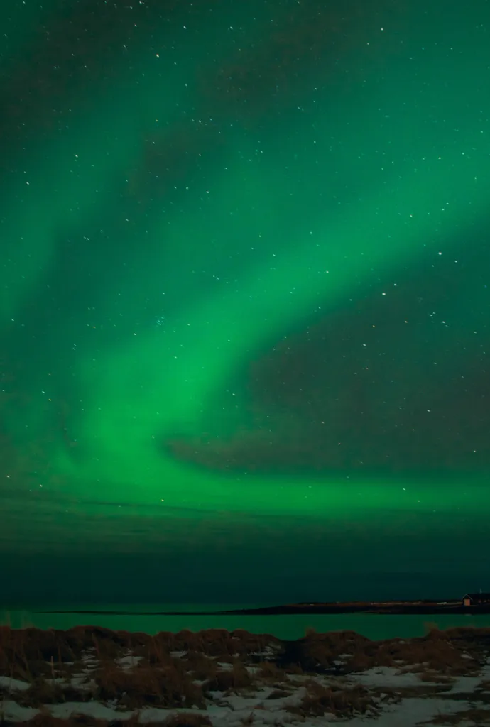 Northern lights glowing green over a Canadian shoreline